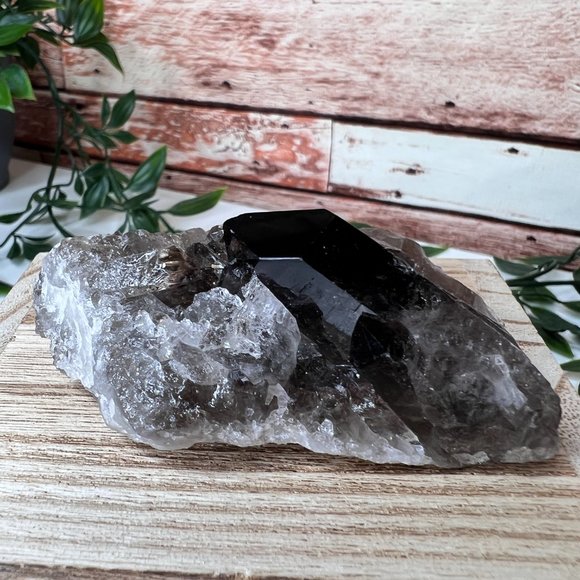 Other - Smoky Quartz Crystal Points Cluster - Smoky Quartz Point Crystal Cluster